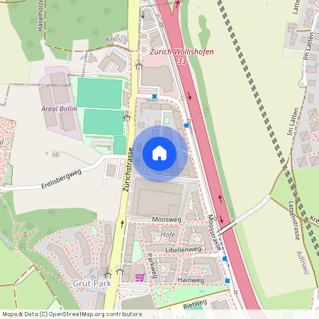 Moosstrasse 45, 8134 Adliswil