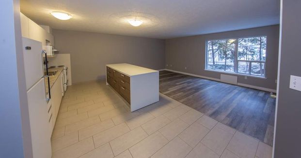 apartments at 1904 Paris Street - Photo 1