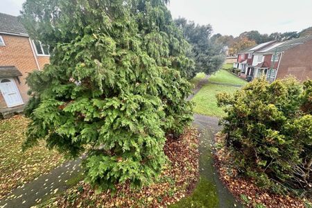 Wescott Way - Photo 5