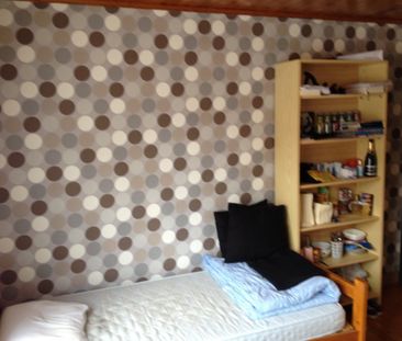 Kamer 3 - Ommegangstraat 47 - Photo 2