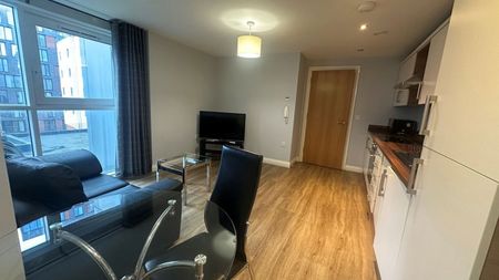 Belgrade Plaza Apartment 16 - Photo 3