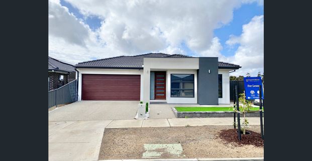 Immaculate and So Close To Everything! - Photo 1