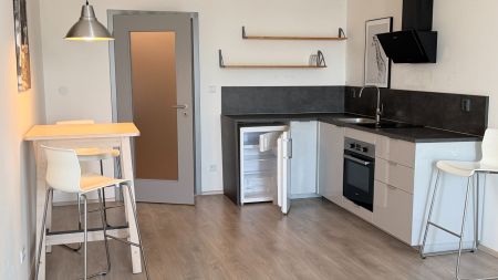 Pronájem bytu 1+kk • 43 m² bez realitkyPremonstrátů, Chýně - Chýně, Středočeský kraj - Photo 4