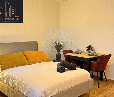 Location Appartement 1 pièce 25m² MARIGNIER 74970 - Photo 4