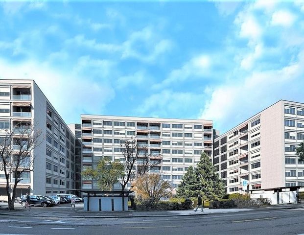 Malagnou bel appartement - Photo 1