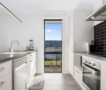 Omokoroa -3 Bedroom, 2 bth - 1st Week Rent Free! - Photo 4