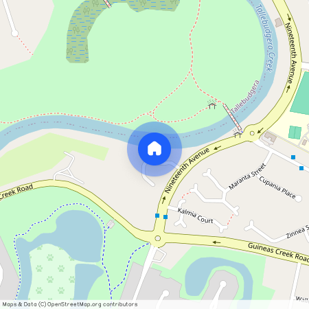 13 Cosmos Court, Qld 4221, Elanora