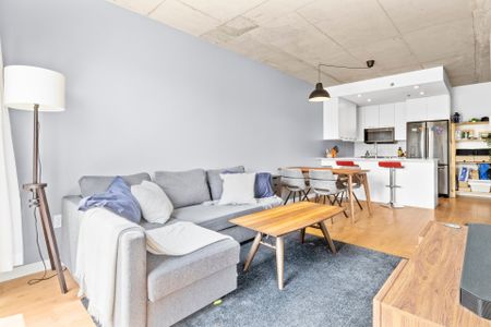 555 Boul. René-Lévesque E. #307, Montréal (Ville-Marie), H2L0C2 - Photo 2