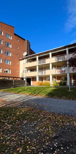 Stackgatan, Skellefteå - Foto 1