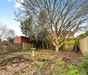 3 bedroom House To Let - Photo 3