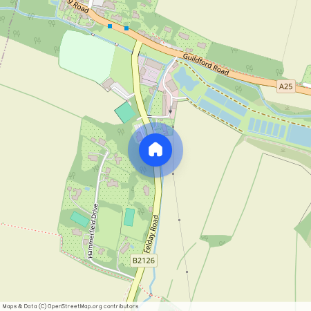 Felday Road, Abinger Hammer