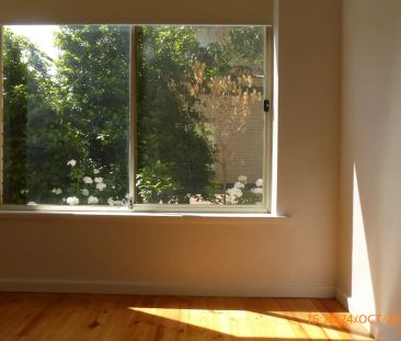 Updated home unit in popular lifestyle locale - Photo 5