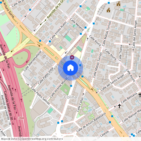 Calle de Vicente Muzas, Madrid, Community of Madrid 28043