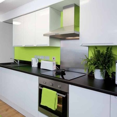 Standard Studio - Photo 5