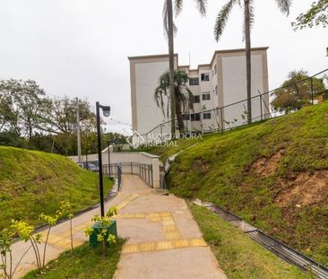 Apartamento com 2 quartos e 52m² para alugar em Morro Santana, Port... - Foto 5