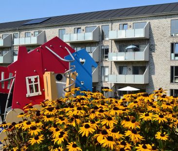 7800, Skive - Foto 6