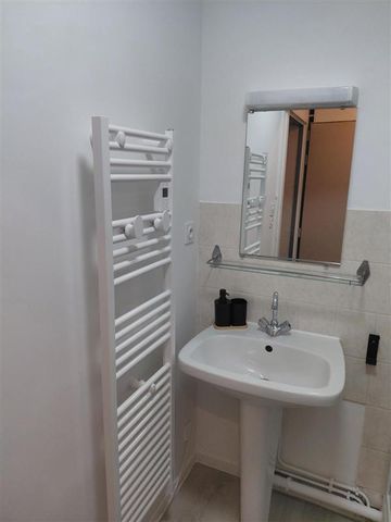 Location Appartement 1 pièce Meublé 18m² ANGERS 49000 - Photo 2