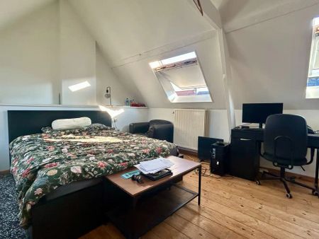Gezellige rijwoning met prachtige stadstuin en achteruitgang nabij centrum Leuven - Photo 3