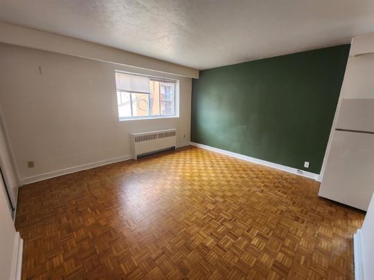 161 Somerset St. West - 26 - Photo 1