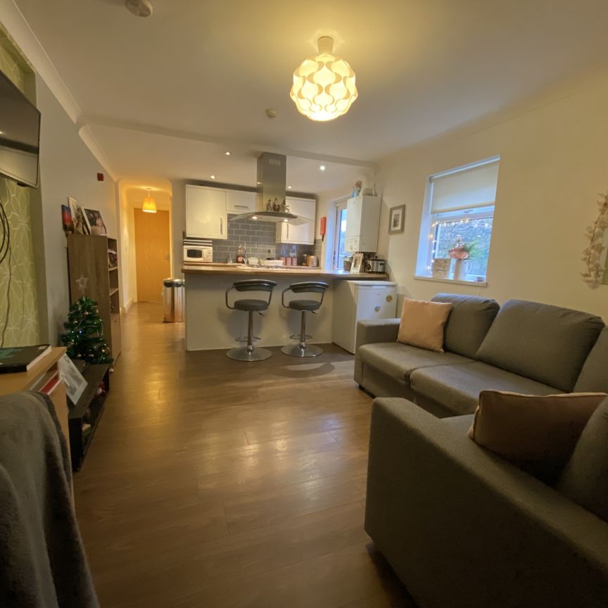 Llanbleddian Gardens, Cathays - Photo 1