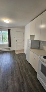 Très jolis studios avec chambre fermée dans le beau quartier de Rosemont - Photo 3