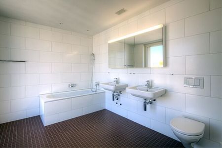 Living modern in an urban neighborhood with a large terrace and a view - Photo 3