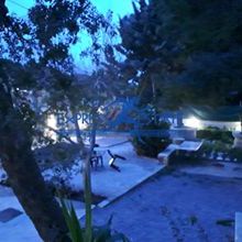 Studio/Γκαρσονιέρα για ενοικίαση - Αρτέμιδα (Λούτσα), - Photo 1