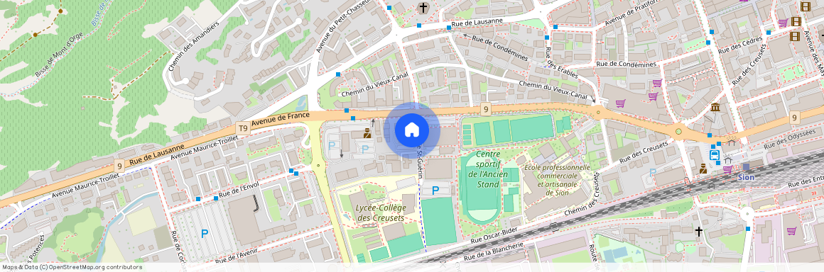 Rue St-Guérin 24, 1950 Sion