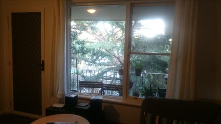 Hurlstone Park - Photo 5