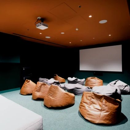 Twin Studio Bronze - Photo 1