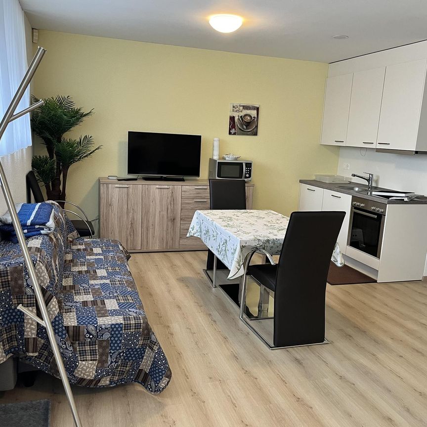 Möblierte 1.5 Zimmer Einliegerwohnung in 8047 Zürich - Foto 1