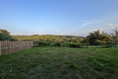 For Lease - 517 Clifford Perry Place Unit# Lower, Newmarket, Ontario - Photo 2