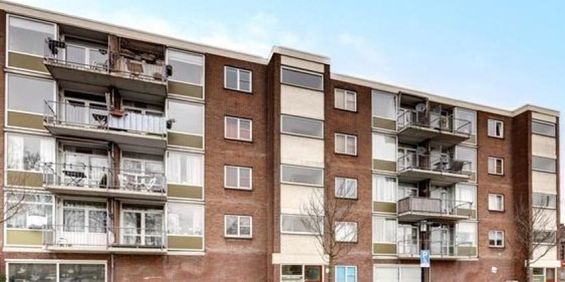 Prins Bernhardplein, 3555 Utrecht, Nederland - Photo 3