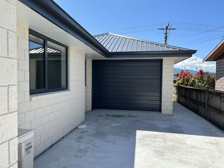 New Four Bedroom Home - Renwick - Photo 2