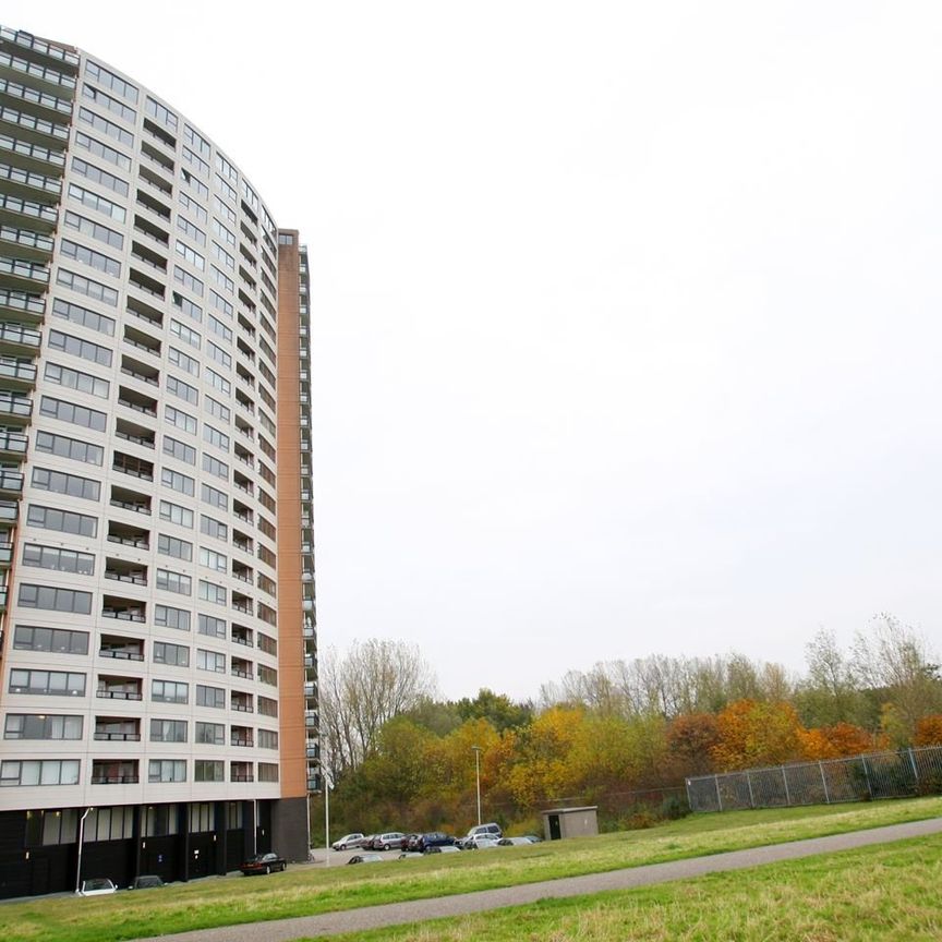 Hoge Filterweg 268, 3063KE Rotterdam - Photo 1