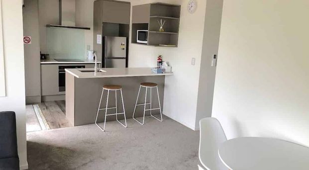 Modern apartment with plenty of goodies close by - Photo 1