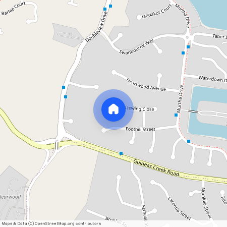 12 Bronzewing Close, Qld 4221, Elanora