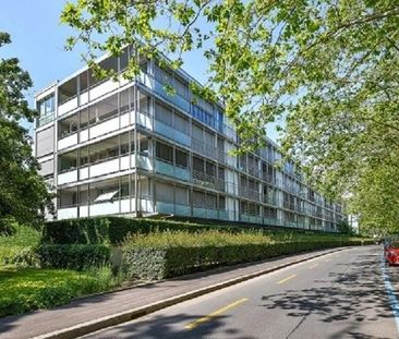 Magnifique appartement 3 pièces dans le quartier de Champel - Foto 5