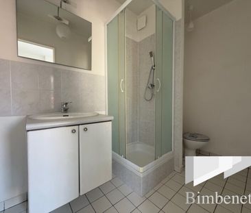 Appartement à louer, 1 pièce - Orléans 45000 - Photo 4