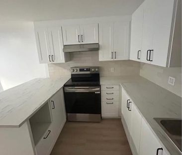 Appartement 1 chambre à Louer à Lachine - Niveau Demi Sous-Sol - Photo 2