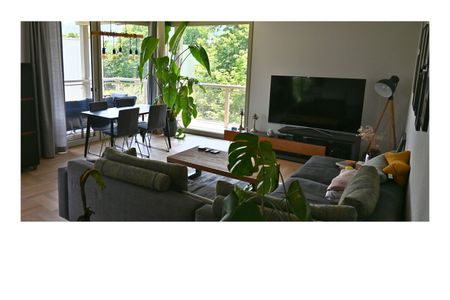 APPARTEMENT 31/2 PIÈCES À THALWIL (ZH), MEUBLÉ, TEMPORAIRE - Foto 5