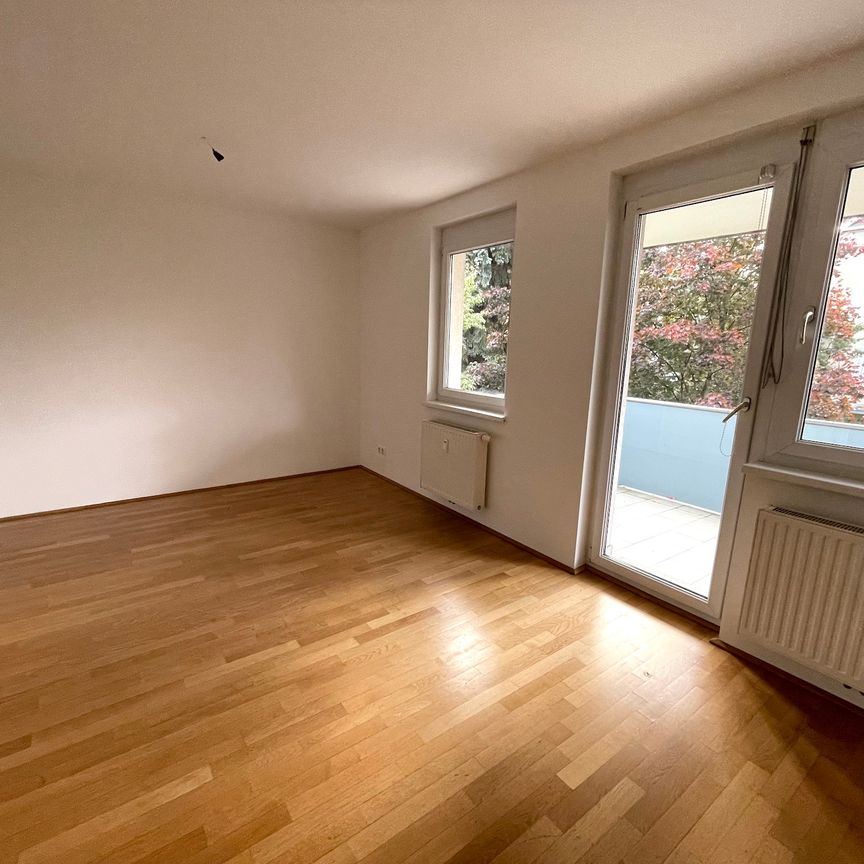 Charmante 3-Zimmerwohnung mit großzügigem Balkon in Ruhelage - Foto 1