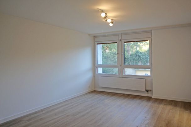 1 Zimmer, 25 m², 2. Stock - Foto 1