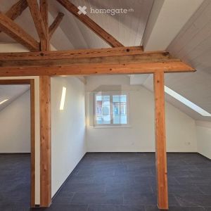 NEU, HISTORISCH, GROSSER GARTEN ZUR MITBENUTZUNG - Photo 3