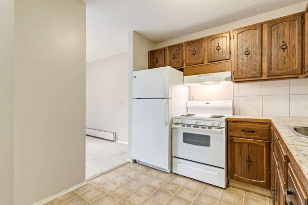 Renovated Suite - 2 Bedroom - Photo 1