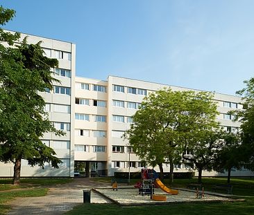 / Appartement T3 – 31 Boulevard Général Vanier - Photo 4