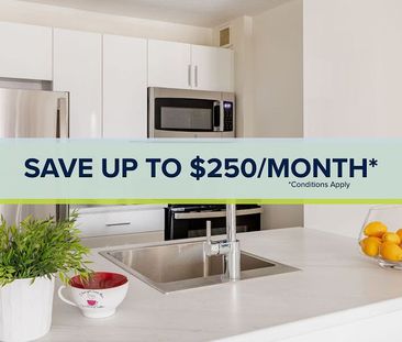 330 Metcalfe, Centretown, Ottawa, ON - Photo 6