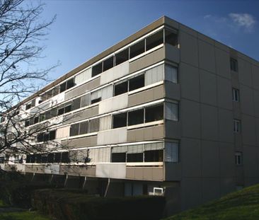 Appartement de 1 pièce au 3ème étage - Photo 4