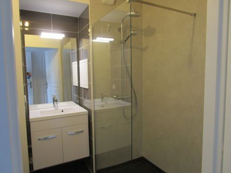 Appartement RUE LEONE LALIRE - Photo 5
