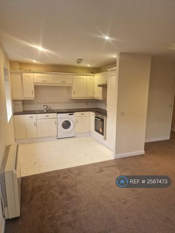 4 bedroom flat to rent - Photo 2